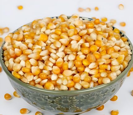 Yellow Corn/Maize