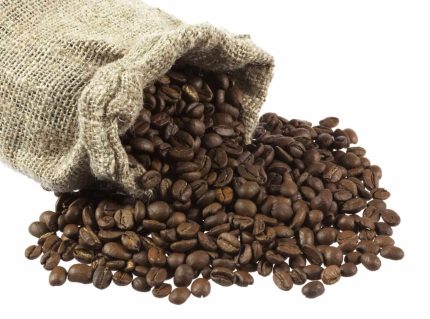 Arabica Coffee