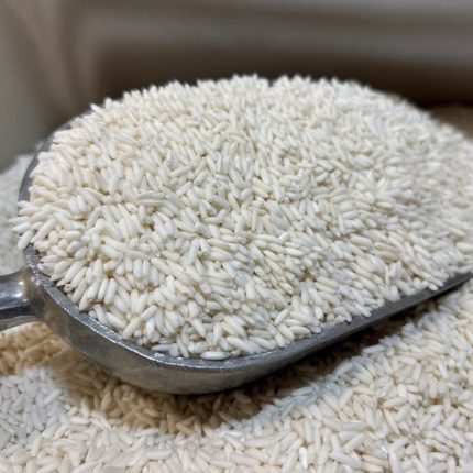 Glutinous Rice