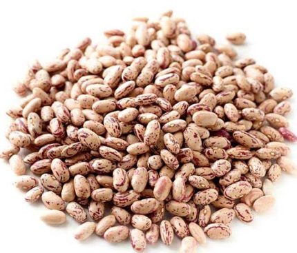 Borlotti Beans